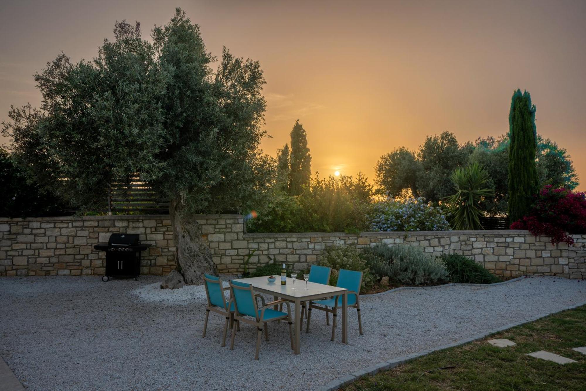 Villa Vasiliki Private Pool Erfoi エクステリア 写真